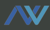 New Venture Visions logo